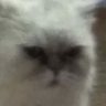 Rocstare