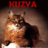 Kuzya