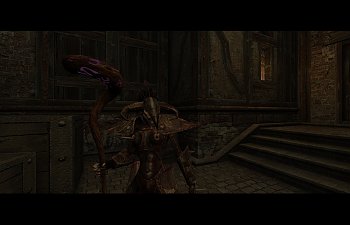 Image 1107-234316.jpg