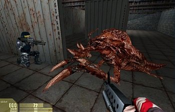DNF_2001_Ant.jpg