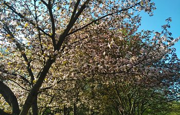 IMG_20230427_1635353.jpg