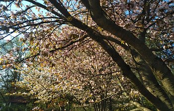 IMG_20230427_1635575.jpg