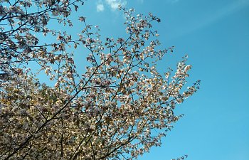 IMG_20230427_1644169.jpg