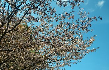 IMG_20230427_1644290.jpg