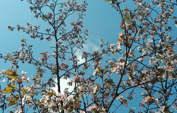 IMG_20230427_1645227.jpg