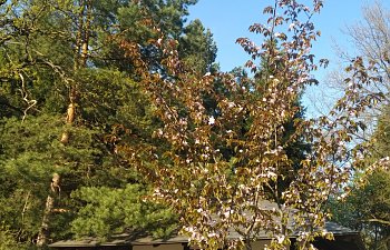 IMG_20230427_1715242.jpg