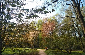 IMG_20230427_1718474.jpg