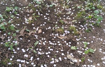 IMG_20230427_1719293.jpg