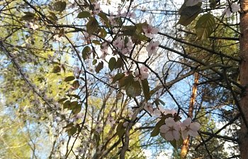 IMG_20230427_1722192.jpg