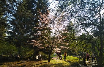 IMG_20230427_1722396.jpg