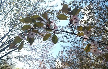 IMG_20230427_1725213.jpg
