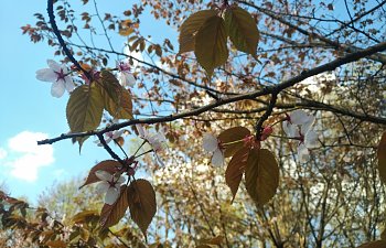 IMG_20230427_1727590.jpg