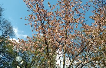 IMG_20230427_1730046.jpg
