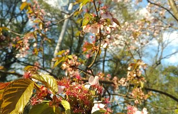 IMG_20230427_1730499.jpg