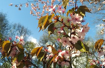 IMG_20230427_1731138.jpg