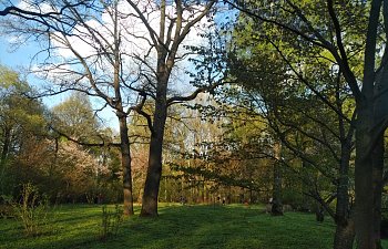 IMG_20230427_1734538.jpg