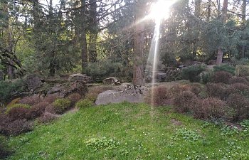 IMG_20230427_1750310.jpg