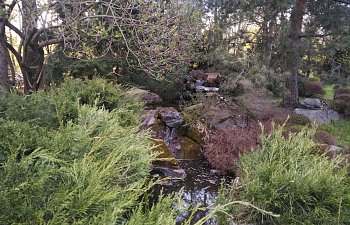 IMG_20230427_1754007.jpg