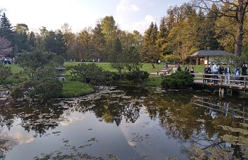 IMG_20230427_1822225.jpg