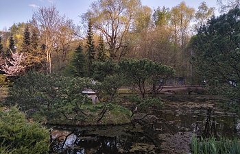 IMG_20230427_1824492.jpg