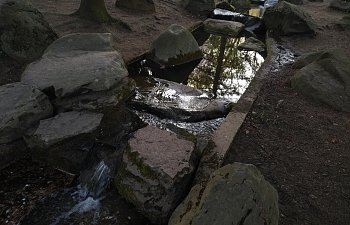 IMG_20230427_1843260.jpg