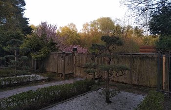 IMG_20230427_1909278.jpg