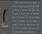 [Rycerze Mroku - скриншот №13]