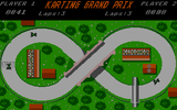 [Karting Grand Prix - скриншот №5]
