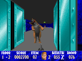 [Скриншот: Wolfenstein 3D]