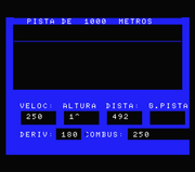 737 Fligth Simulator