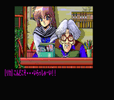 [Dragon Knight II - скриншот №9]