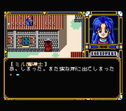 Fray in Magical Adventure