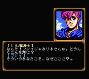 Fray in Magical Adventure