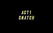 Snatcher