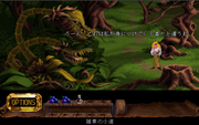 Kyrandia II: The Hand of Fate