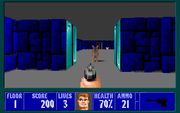 Wolfenstein 3D