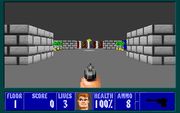 Wolfenstein 3D