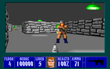 [Wolfenstein 3D - скриншот №12]