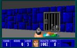 [Wolfenstein 3D - скриншот №19]