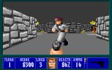 [Wolfenstein 3D - скриншот №25]