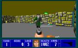 [Wolfenstein 3D - скриншот №29]