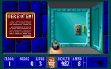 [Wolfenstein 3D - скриншот №31]