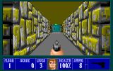 [Wolfenstein 3D - скриншот №34]