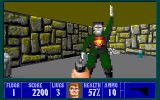[Скриншот: Wolfenstein 3D]