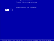 100 компьютерных упражнений по русскому языку