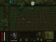 101: The Airborne Invasion of Normandy