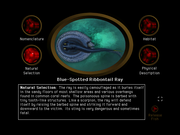 20,000 Leagues Under the Sea