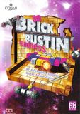 [3D Block Bustin' Madness - обложка №1]