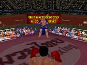 3D Muay Thai