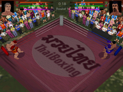 3D Muay Thai
